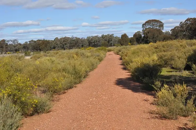 Seventh view of Homely rural property listing, 511 Gap Road, Pullabooka NSW 2810