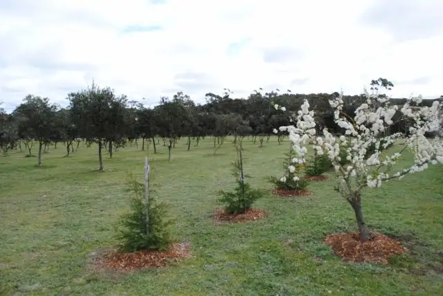 Fifth view of Homely rural property listing, 76 Maclura Drive, Marulan NSW 2579