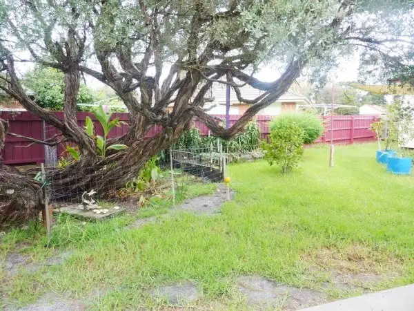 Fifth view of Homely house listing, 25 Pine Street, Frankston North VIC 3200