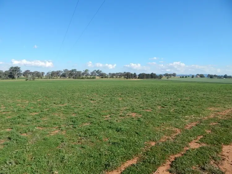 Seventh view of Homely rural property listing, 6138 Olympic Way, Cowra NSW 2794