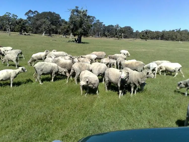 Main view of Homely rural property listing, 1059 Rocky Gully Road, Rocky Gully WA 6397