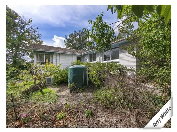 44 Haines Street, Curtin ACT 2605