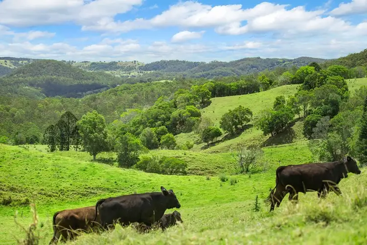 36 Arcadia Lane, Maleny QLD 4552