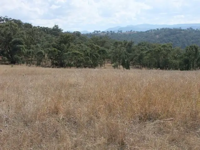 Fifth view of Homely rural property listing, ' BERNANDAWN', Coonabarabran NSW 2357