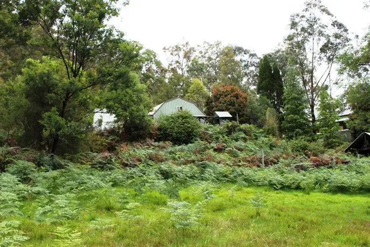Seventh view of Homely rural property listing, 169 Burralong Valley Road, Laguna NSW 2325