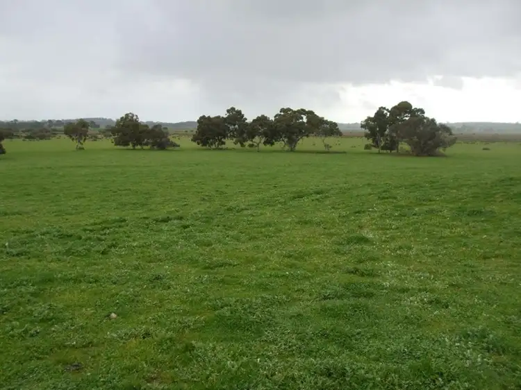 Main view of Homely rural property listing, 499 Bin Bin, Keilira SA 5275