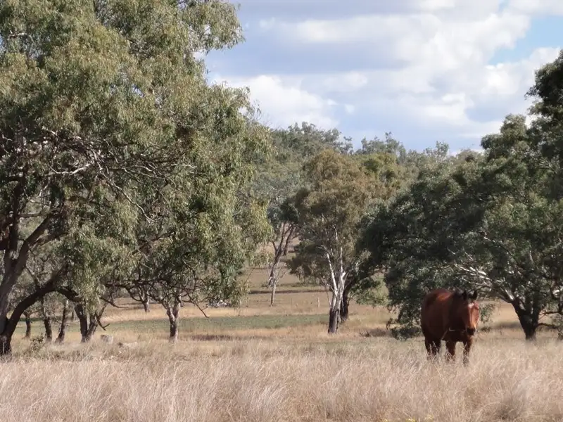 Main view of Homely rural property listing, Lot 3032 Ehrlich Road, Linthorpe QLD 4356