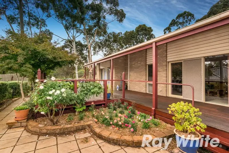 Main view of Homely house listing, 305 Hawthorn Road, Vermont South VIC 3133