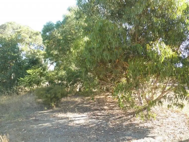 Third view of Homely land listing, Lot 338 Third Avenue, Kendenup WA 6323