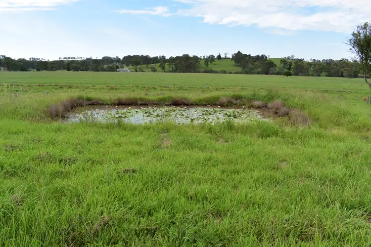 Third view of Homely land listing, 7105 Bruxner Highway, Mallanganee NSW 2469