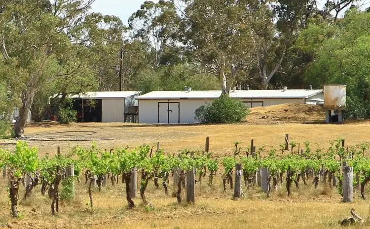 Fourth view of Homely rural property listing, 42 Kennedy's Lane, Heathcote VIC 3523