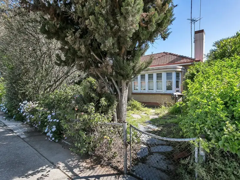 Main view of Homely house listing, 48 Dampier Avenue, Flinders Park SA 5025