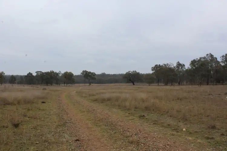 Second view of Homely rural property listing, 18325 Cunningham Highway, Karara QLD 4352