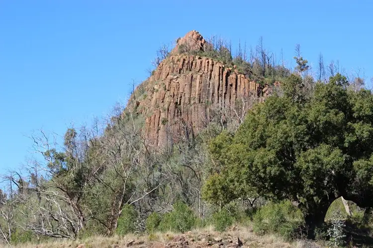Fifth view of Homely rural property listing, 'MIRRIGUNDI' 1941 TIMOR Road, Coonabarabran NSW 2357
