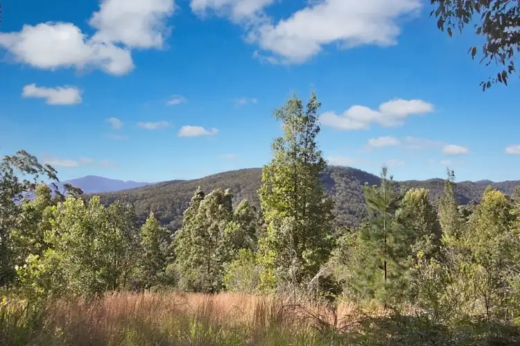 Main view of Homely rural property listing, 1449 Tyalgum Road, Tyalgum NSW 2484