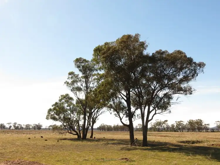 Fourth view of Homely rural property listing, 581 Slingers Lane, Temora NSW 2666