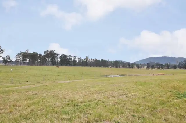Fifth view of Homely rural property listing, 1190 Limeburners Creek Road, Clarence Town NSW 2321