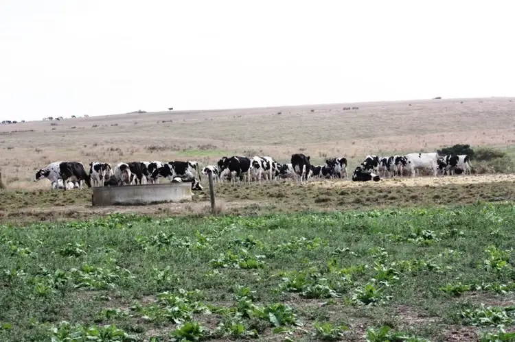 Address available on request