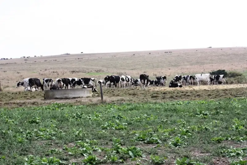 Main view of Homely rural property listing, Address available on request