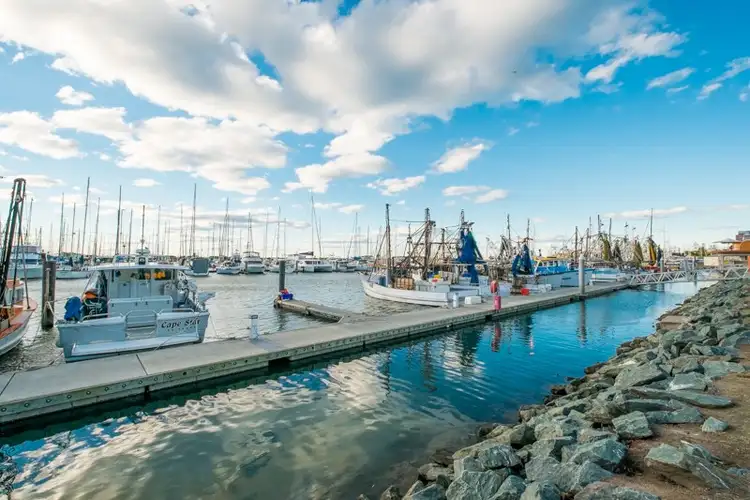 Fourth view of Homely house listing, 11 Fifth Avenue, Scarborough QLD 4020