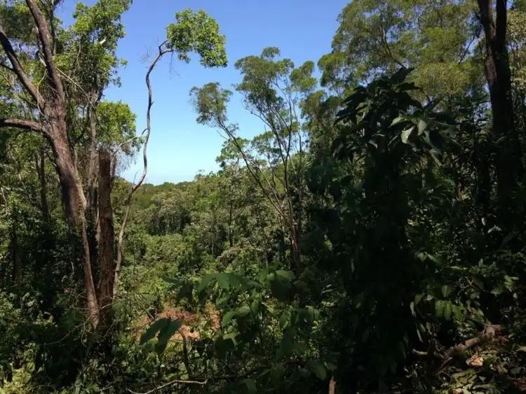 Second view of Homely land listing, Lot 38 Ronald Road, Forest Creek, Daintree QLD 4873