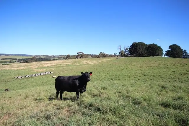 Sixth view of Homely rural property listing, 235 Duckmaloi Road, Oberon NSW 2787