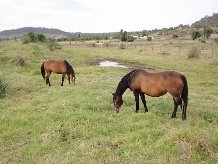 Third view of Homely land listing, Lot 2 Gowrie LilyVale Road, Glencoe QLD 4352