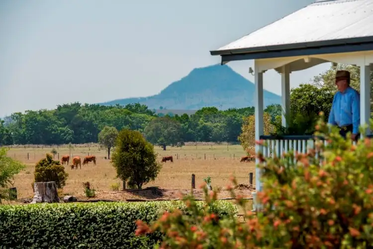 Seventh view of Homely rural property listing, 485 Sellars Road, Rosevale QLD 4340