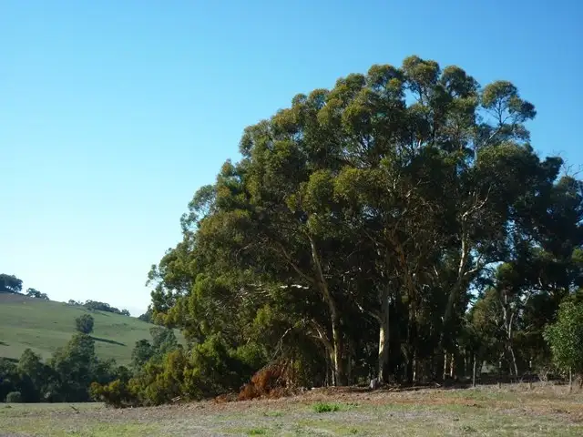 Fifth view of Homely land listing, 144 Holstein Loop, Lower Chittering WA 6084