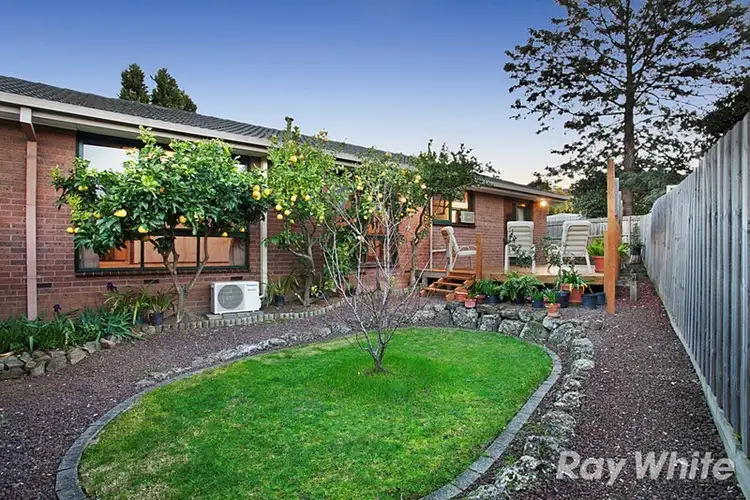 Main view of Homely house listing, 20 Saxon Avenue, Wantirna VIC 3152