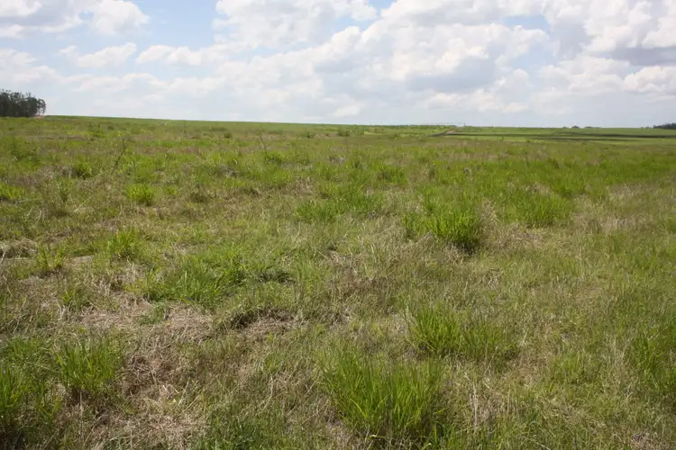 Sixth view of Homely rural property listing, 'Aplins' Delan Rd, Delan, Gin Gin QLD 4671