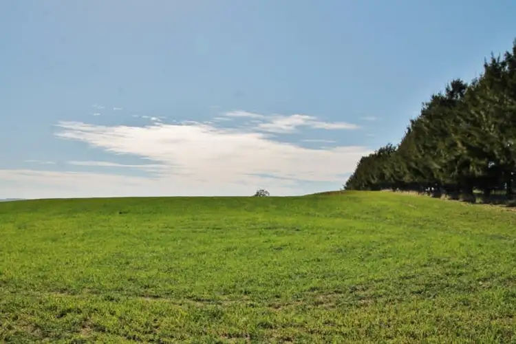 Fifth view of Homely land listing, 48 Curtis Place, Young NSW 2594