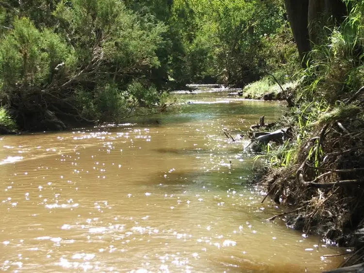 Third view of Homely rural property listing, 64 Barfield Road, Banana QLD 4702