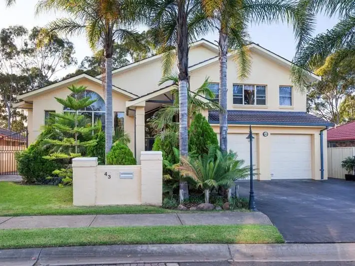 Main view of Homely house listing, 43 Corryton Court, Wattle Grove NSW 2173