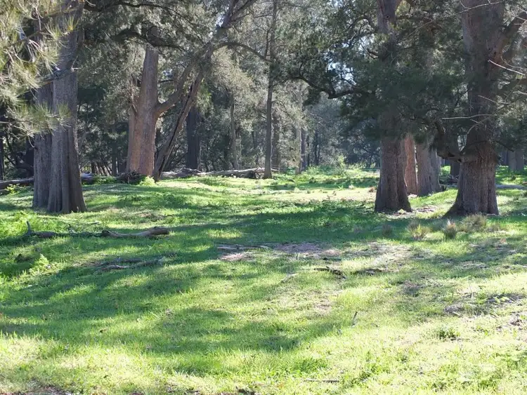 Fourth view of Homely rural property listing, Lot 2 O''Connell Plains Road, O'connell NSW 2795