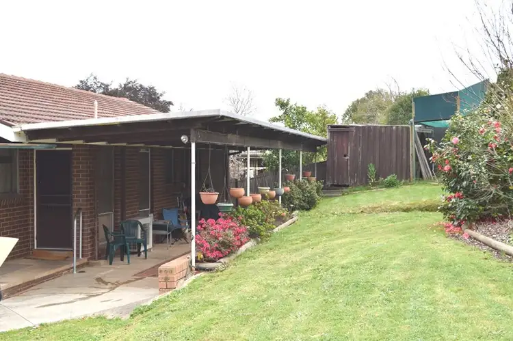 Third view of Homely house listing, 12 Hillside Court, Myrtleford VIC 3737