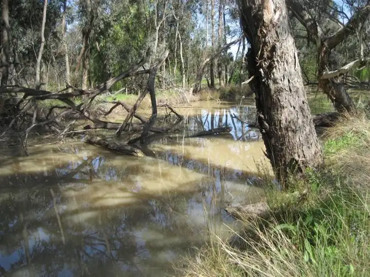 Fourth view of Homely rural property listing, 491 Prairie Road, Calivil VIC 3573