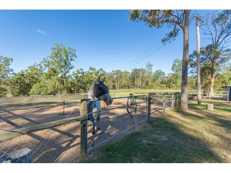 Seventh view of Homely house listing, 100 Jackson Road, Bellmere QLD 4510