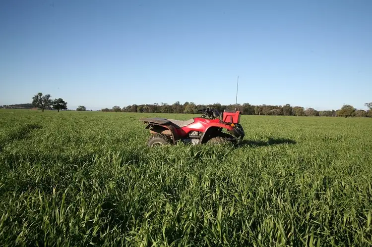 Sixth view of Homely rural property listing, 0 "Blink Bonnie", Forbes NSW 2871