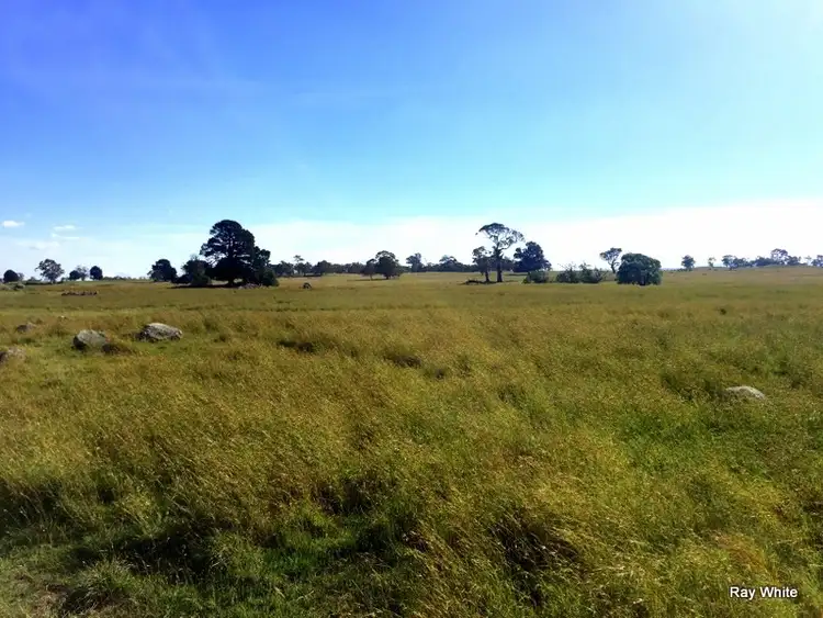 Seventh view of Homely rural property listing, 584 Tudor Valley, Braidwood NSW 2622