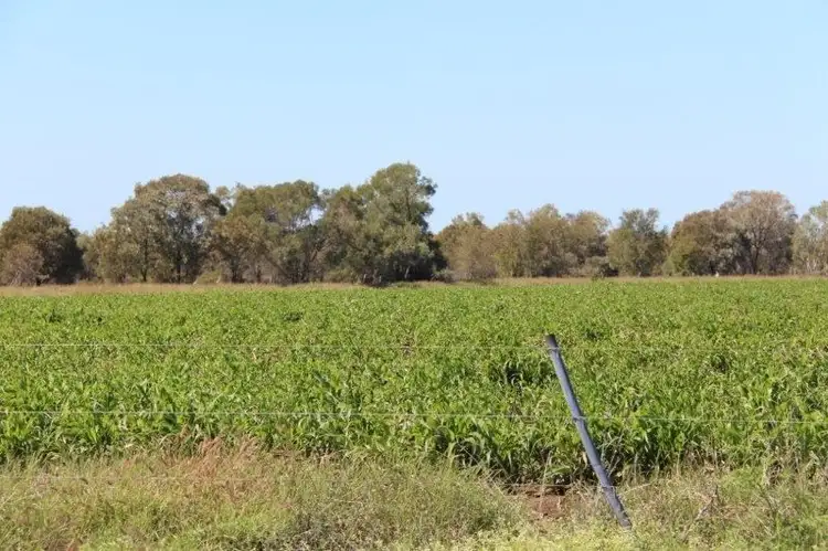 Third view of Homely rural property listing, Diamond Downs Kilcummin Road, Clermont QLD 4721
