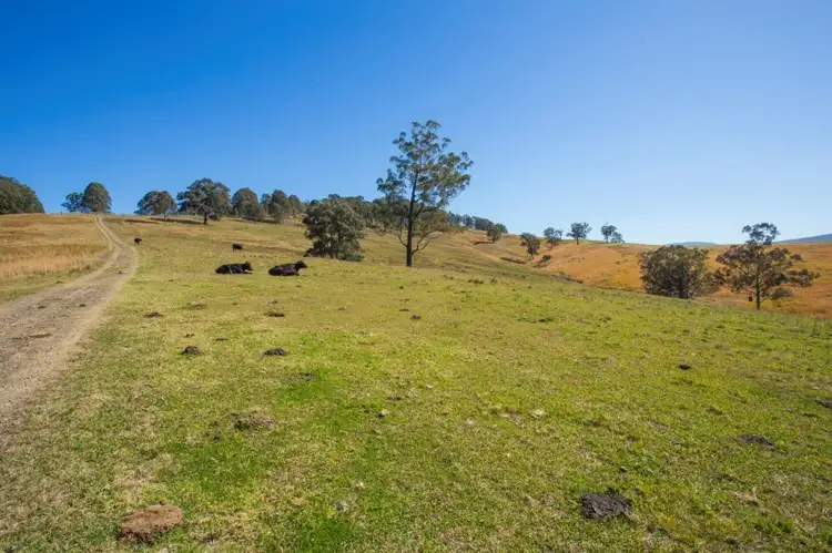Third view of Homely rural property listing, Lots 1/3 DP1103694 EP30785, Dungog NSW 2420