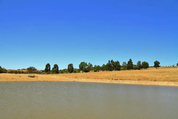 Seventh view of Homely rural property listing, 525 Hardings Lane, Tooborac VIC 3522