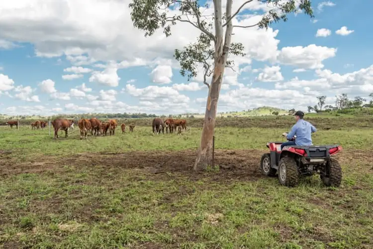 Fifth view of Homely rural property listing, "Bonaccord" Oestreich Road, Wellcamp QLD 4350