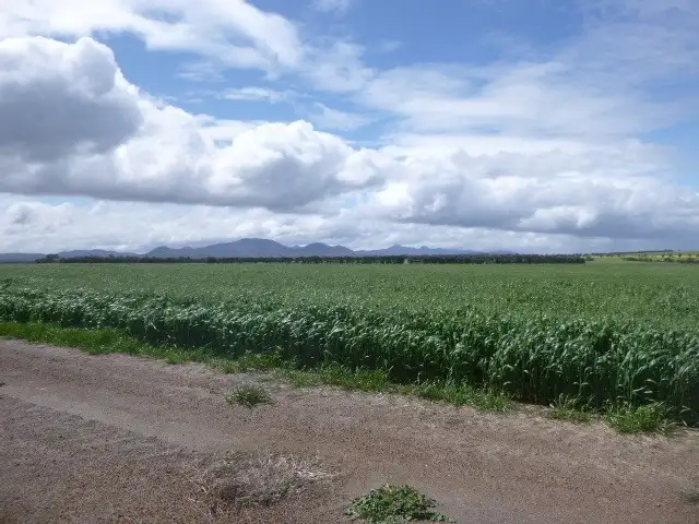Fifth view of Homely rural property listing, 5117 Red Gum Pass Road, Kendenup WA 6323