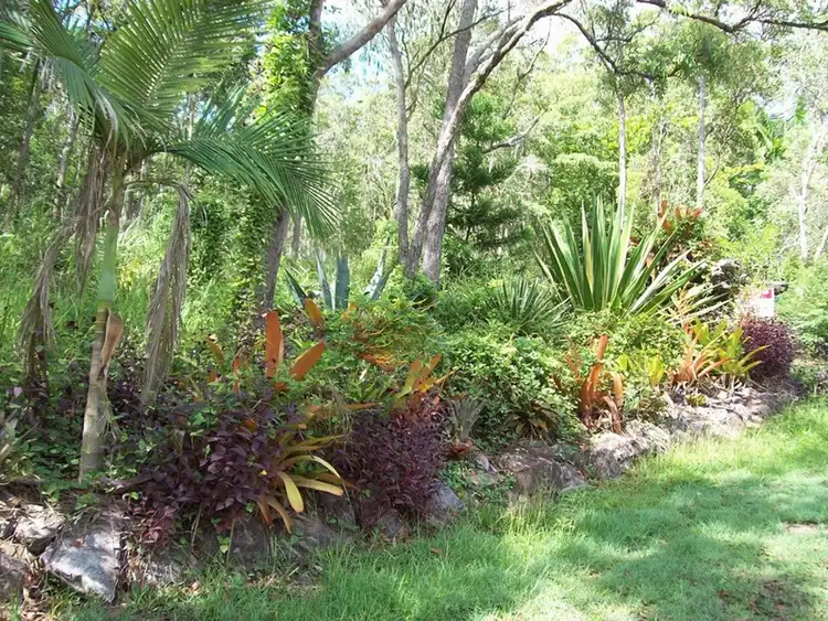 Third view of Homely house listing, 287 Saltwater Creek Road, Conway QLD 4800