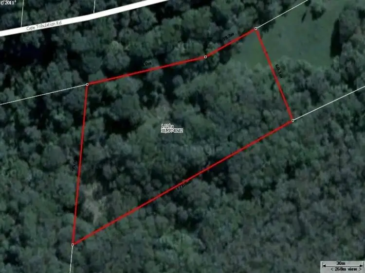 Main view of Homely land listing, 38 Cape Tribulation Road, Daintree QLD 4873