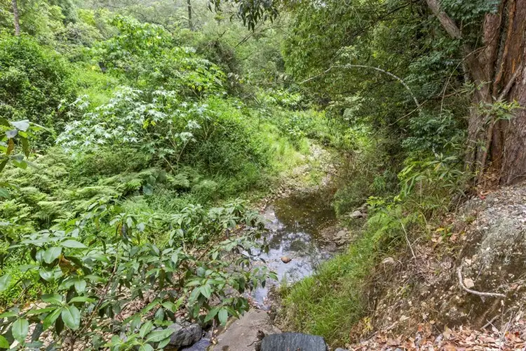 Fifth view of Homely rural property listing, Lot 3 Booka Road, Upper Crystal Creek NSW 2484