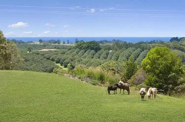 929 Fernleigh Road, Brooklet NSW 2479