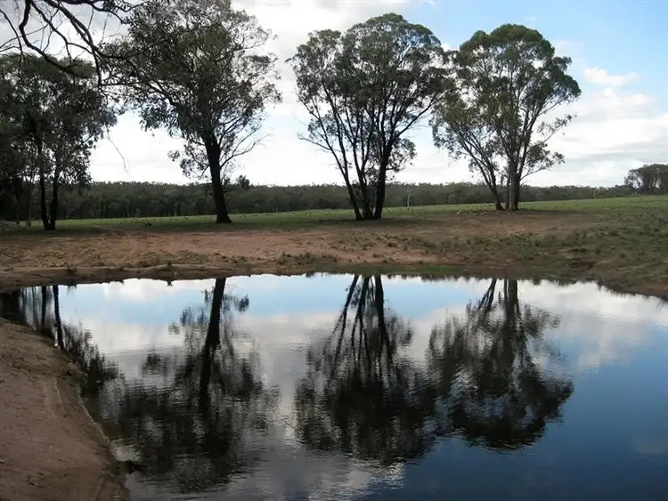Second view of Homely rural property listing, 315 Chatmans Road, Parkes NSW 2870